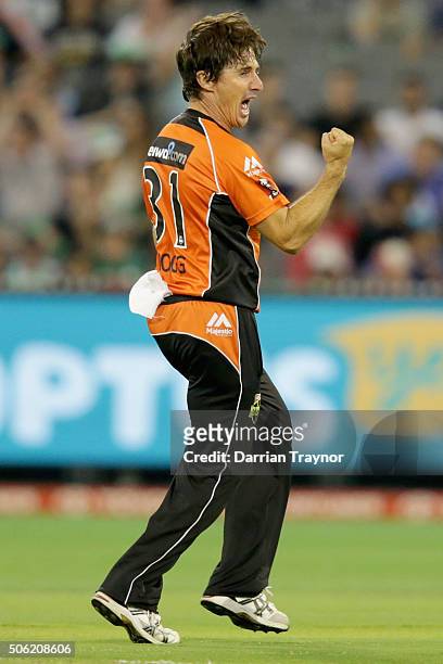 Brad Hogg of the Perth Scorchers celebrates taking the wicket of Marcus Stoinis of the Melbourne Stars during the Big Bash League Semi Final match...