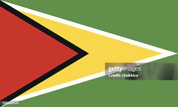 guyana flag - guyana flag stock illustrations