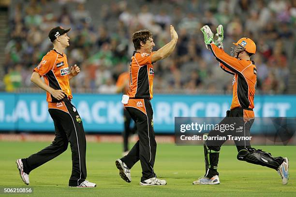 Brad Hogg of the Perth Scorchers celebrates taking the wicket of Marcus Stoinis of the Melbourne Stars during the Big Bash League Semi Final match...