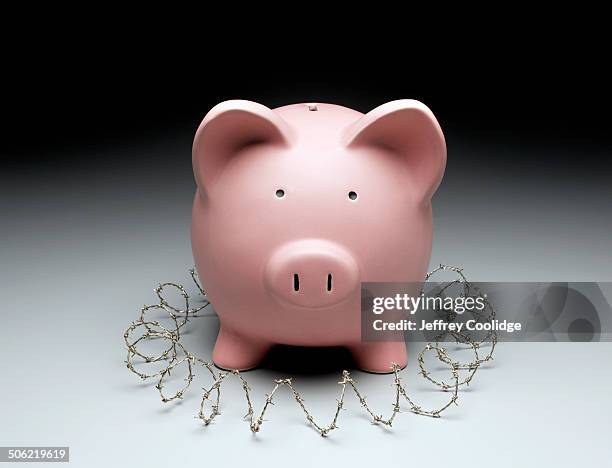 piggy bank with barbwire - asset protection stock pictures, royalty-free photos & images