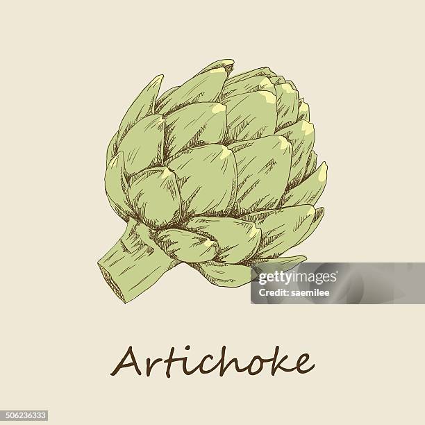 stockillustraties, clipart, cartoons en iconen met artichoke - artisjok