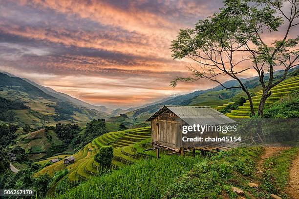 house in rice terrace at the mountain in asia. - hmong village stock pictures, royalty-free photos & images