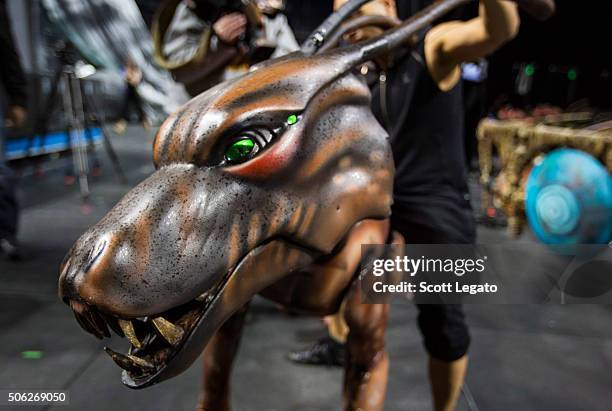 Viper Wolves 12 Viperwolf Stock Photos, High-Res Pictures, and Images - Getty Images