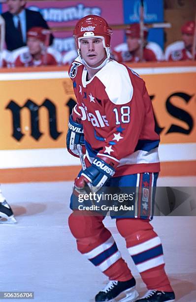 Randy Burridge of the Washington Capitals watches the play during NHL game action against the Toronto Maple Leafs at Maple Leaf Gardens in Toronto,...