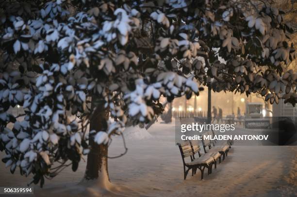 Snow covers a pathway of Lafayette Square outside the White House during a snowstorm in downtown Washington, DC on January 22, 2016. A monster...