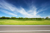 green meadow with trees and asphalt road