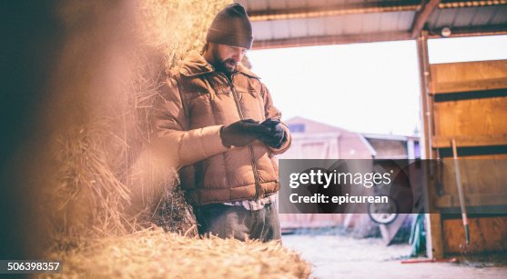 Man leaning against hay in barn looks down at phone Man leaning against hay in barn looks down at phone