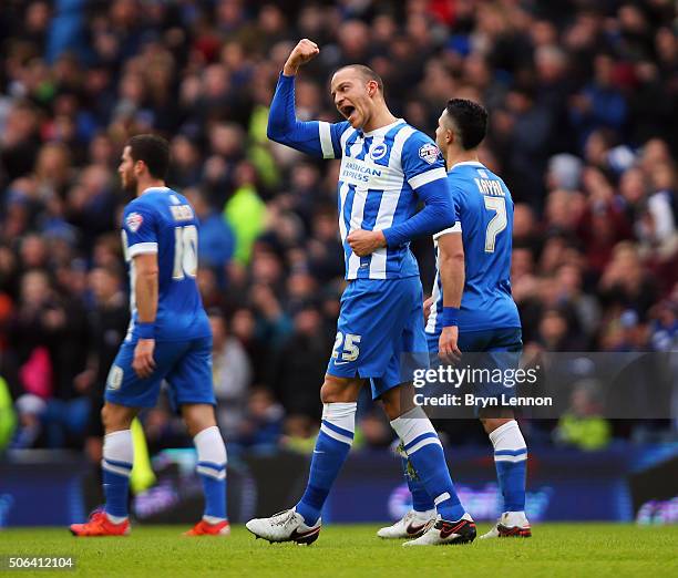 Bobby Zamora of Brighton & Hove Albion celebrates with his team after soring the opening goal during the Sky Bet Championship match between Brighton...