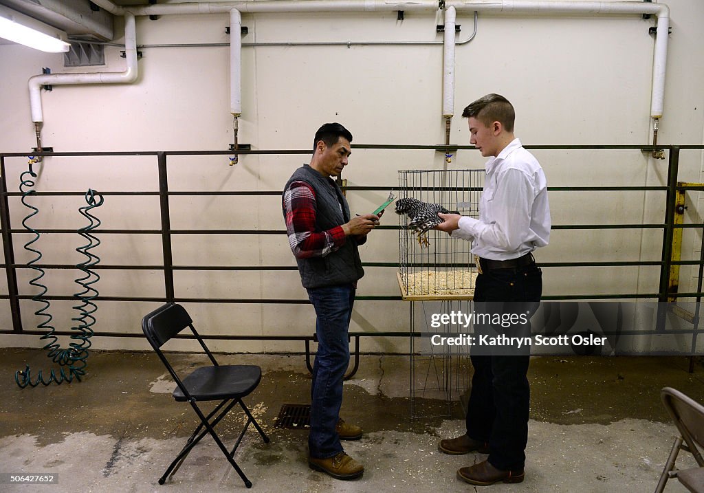 Poultry judging and the Junior Poultry Showmanship take place at the National Western Stock Show in Denver.