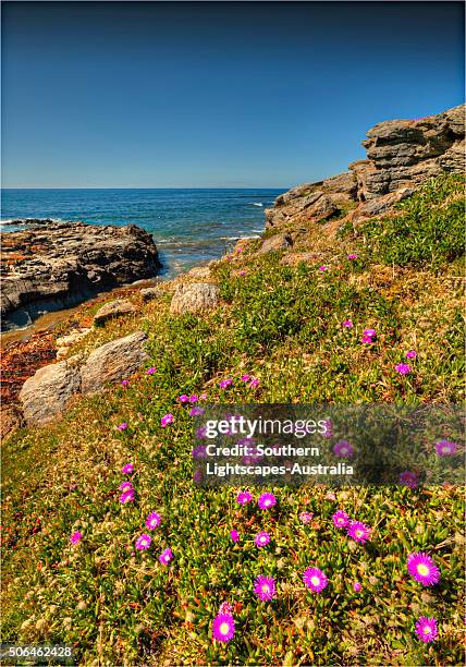 Bass Point Rocks 150 Bass Point (Australia) Stock Photos, High-Res Pictures, and Images ...