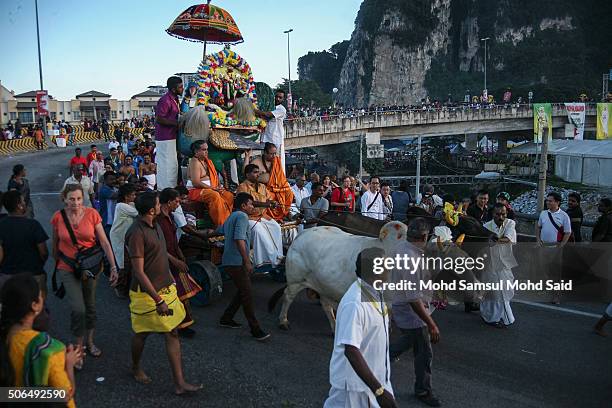 Hindu devotees is seen carry a kavadi with a cows during Thaipusam on January 24, 2016 in Kuala Lumpur, Malaysia. Thaipusam is a Hindu festival...