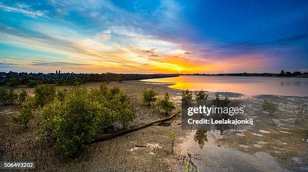 beautiful lake in nsw, australia. - nsw rural town stock pictures, royalty-free photos & images