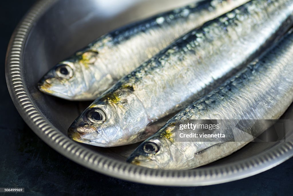 Sardinhas, inteiros, em bruto, em uma Tigela de Metal