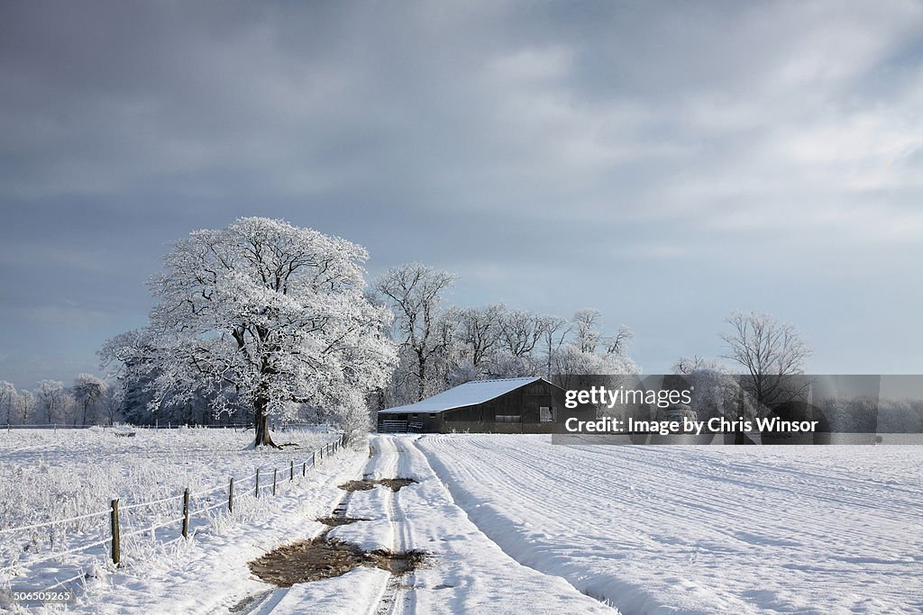 Rural winter