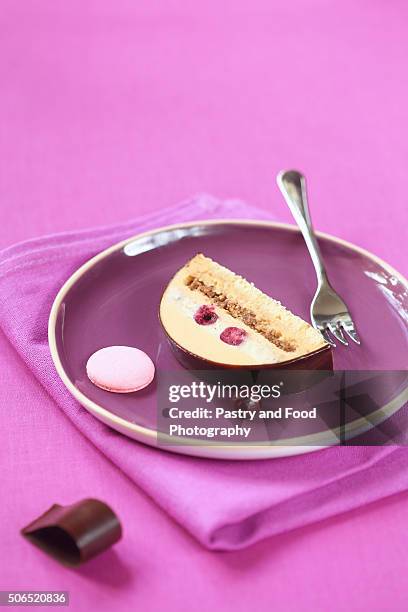 piece of yule log cake glazed with chocolate mirror glaze, decorated with chocolate loops, cherries and french macarons - froot loops fotografías e imágenes de stock