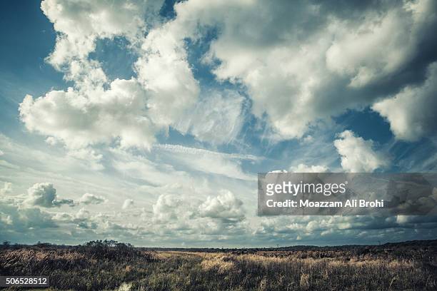 puffy clouds over marsh land - gainesville florida - fotografias e filmes do acervo