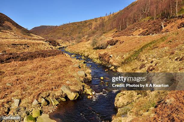 a sunny winters day in the upper derwent valley, derbyshire - bacino derwent foto e immagini stock