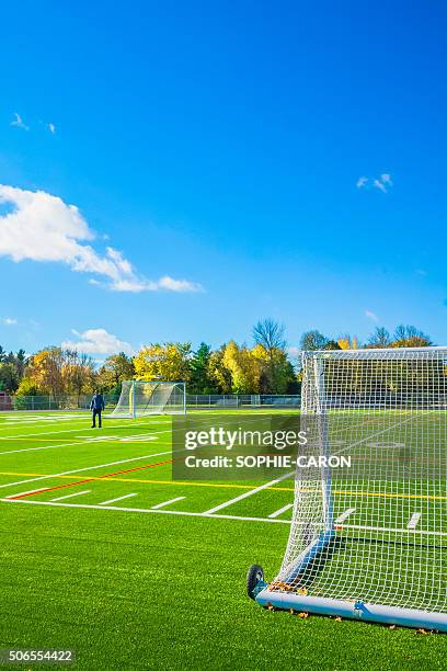 Football Field Interview 72,446 Football Interview Stock Photos, High-Res Pictures, and Images ...