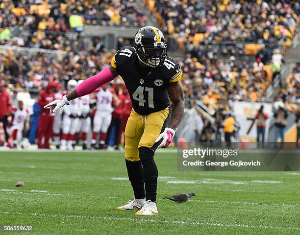 Cornerback Antwon Blake of the Pittsburgh Steelers looks on from the field during a game against the Arizona Cardinals at Heinz Field on October 18,...