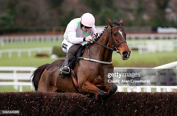 Ruby Walsh riding Douvan clear the last to win The Frank Wards Solicitors Arkle Steeple Chase at Leopardstown racecourse on January 24, 2016 in...