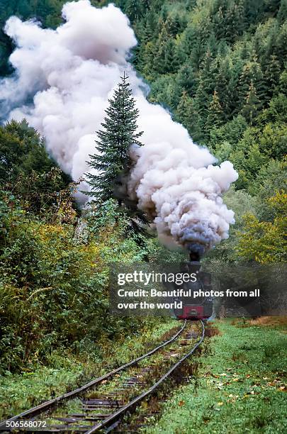 high steam - maramureș stock pictures, royalty-free photos & images