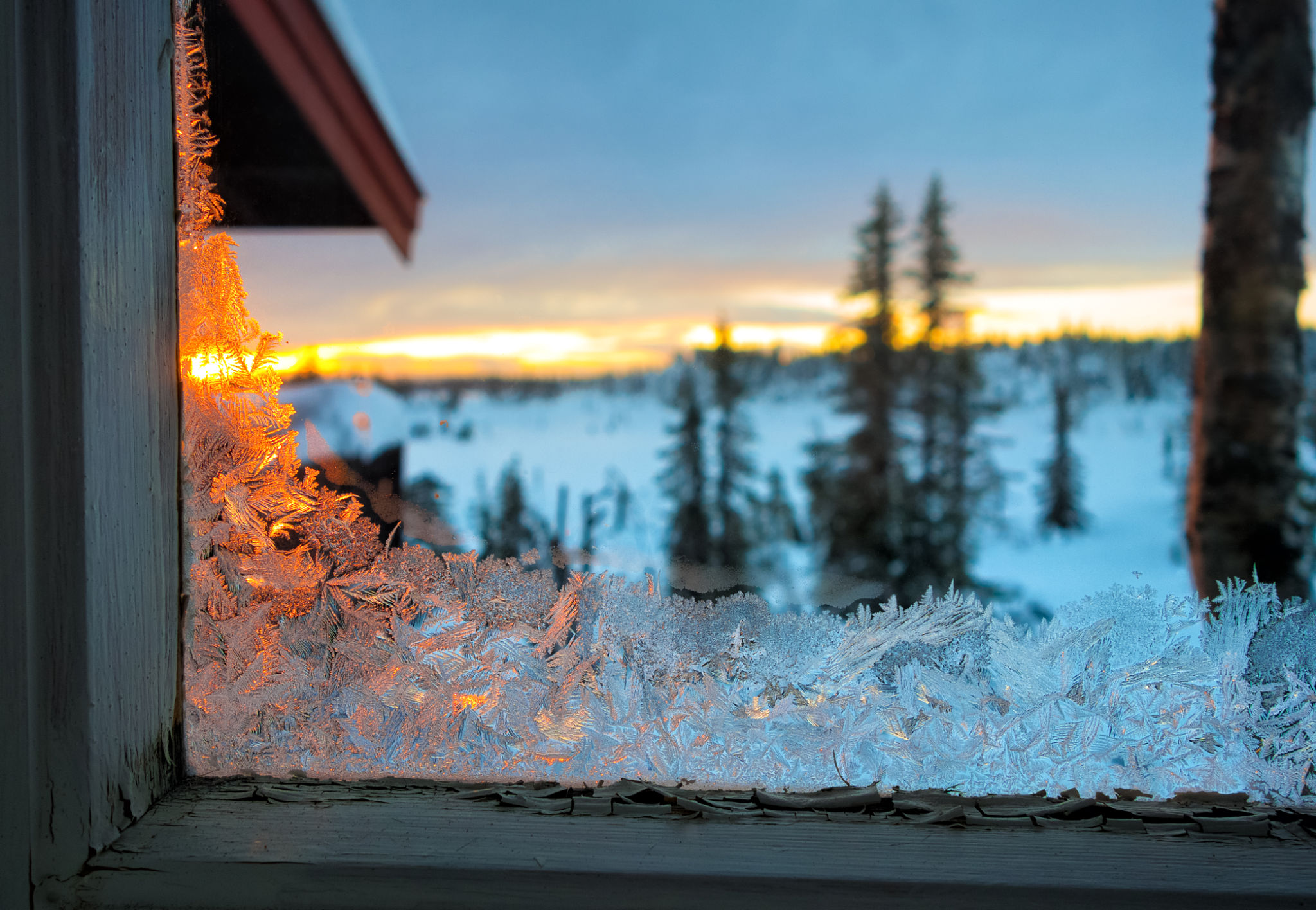 winter frost windows