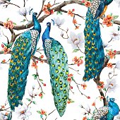 Watercolor vector peacock pattern