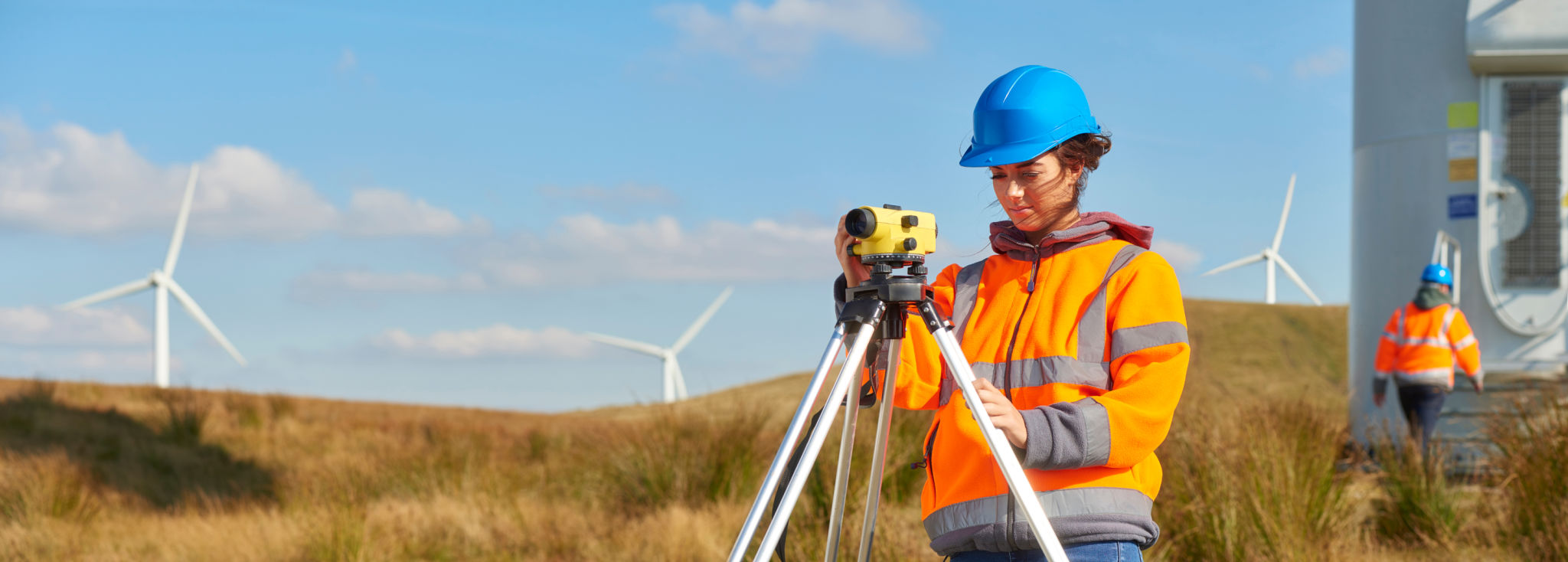 environmental survey