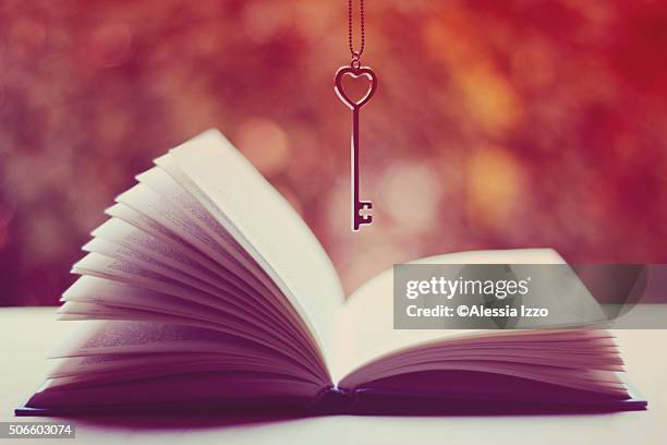 book lover - love books stock-fotos und bilder