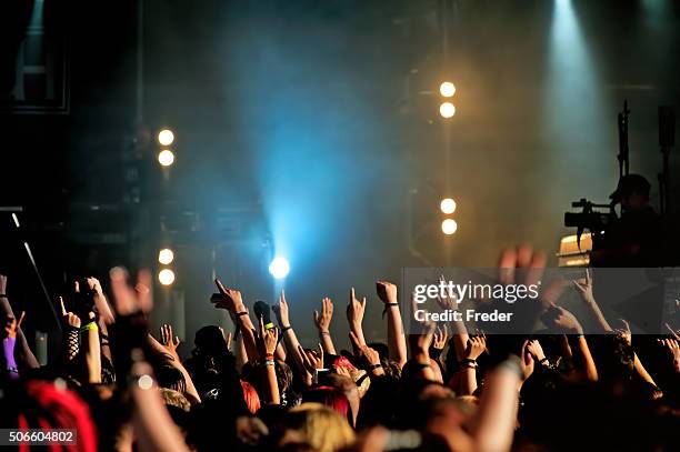 multitud de conciertos - rock alternativo fotografías e imágenes de stock