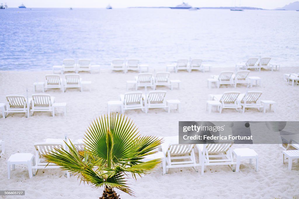 Summer beach at dusk