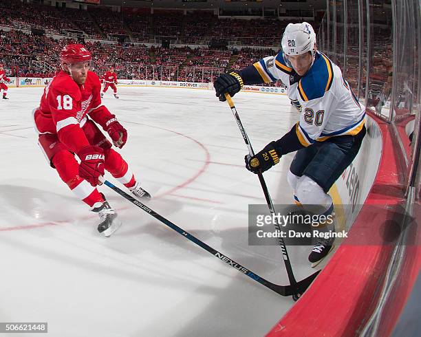 Joakim Andersson of the Detroit Red Wings battles in the corner for the puck with Alexander Steen of the St. Louis Blues during an NHL game at Joe...