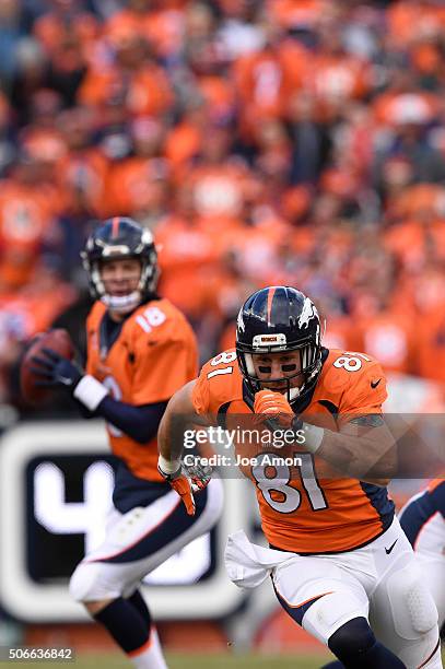 Owen Daniels of the Denver Broncos runs a route as Peyton Manning of the Denver Broncos drops back to pass. The Denver Broncos played the New England...