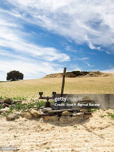 field sowed with small green plants and a well khan manual ancient machinery. - ancient plow stock pictures, royalty-free photos & images