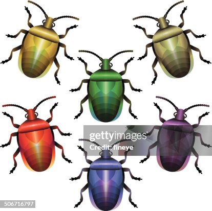 Bugs Set Stink Shield-Shape Bugs Set Stink Shield-Shape