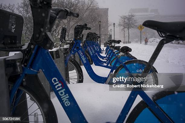 Row of citibikes lies idle during a severe snow storm to hit the East Coast in Brooklyn Heights, New York on January 23, 2016. The Northeast and...