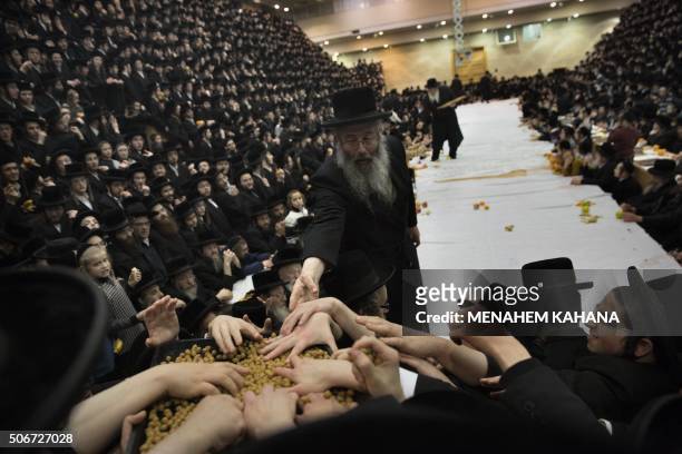 Ultra-Orthodox Jews of the Belz Hasidim distribute fruits as they celebrate the Jewish feast of "Tu Bishvat" during a "Tish" ceremony with their...