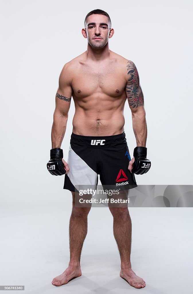 UFC Fighter Portraits 2015