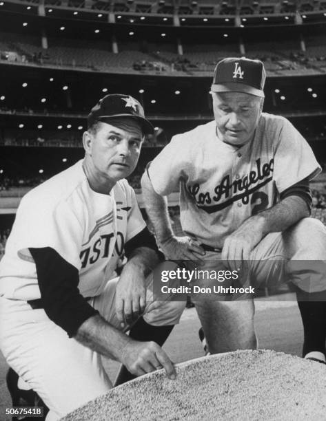 Houston Astros manager Grady Hatton and Los Angeles Dodgers manager Walter Alston inspecting new artificial grass being used for infield of Houston...