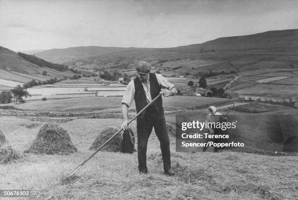 Yorkshire farmer and his wife raking hay in to haystacks on their farm in the Swaledale valley in the Yorkshire Dales National Park, England circa...