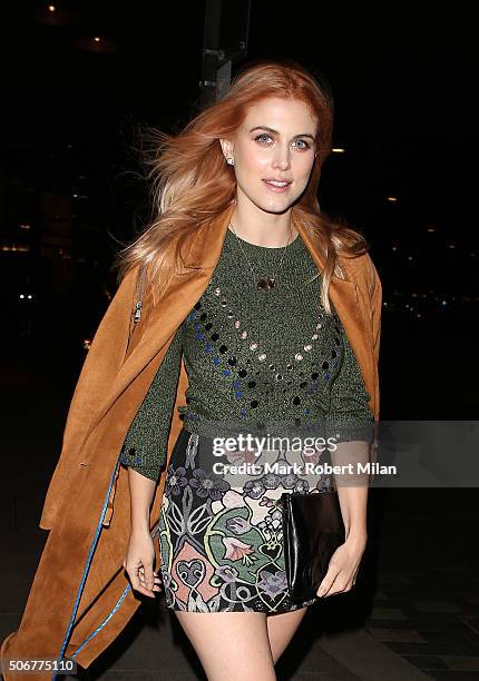 Ashley James attending a VIP screening of 'Eating Happiness' in association with the World Dog Alliance at The Mondrian Hotel on January 25, 2016 in...