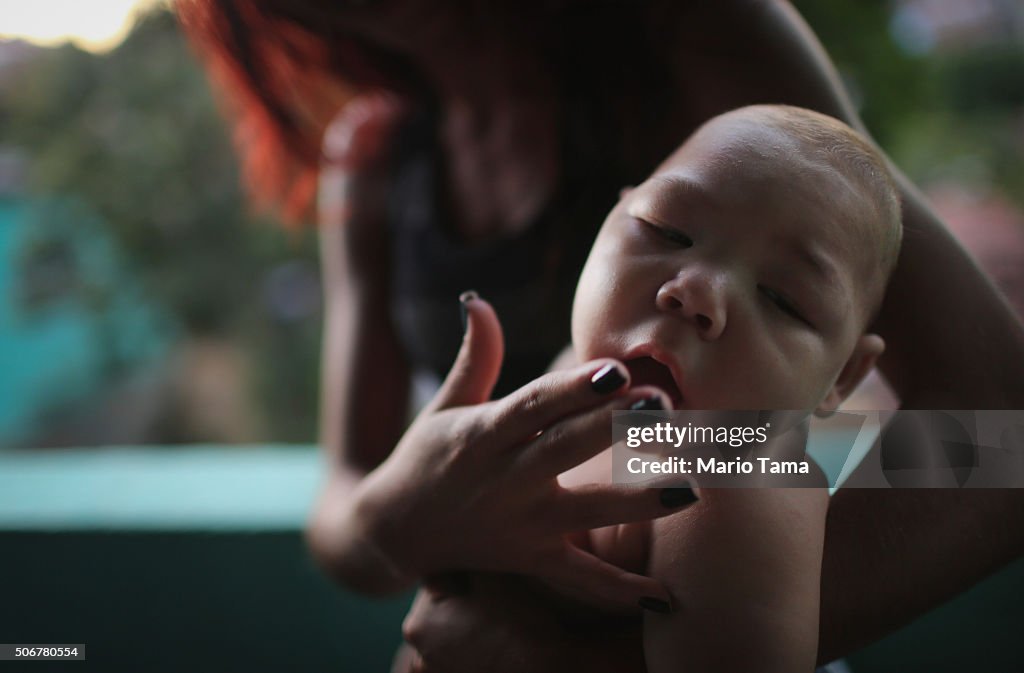 Brazil Faces New Health Epidemic As Mosquito-Borne Zika Virus Spreads Rapidly