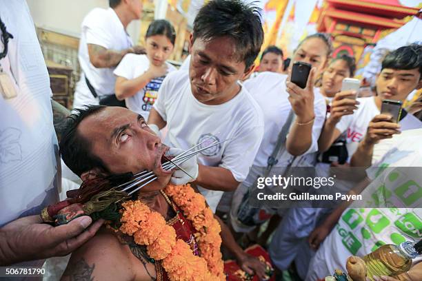 Thai religious devotee believe to be possessed by the spirit of the god has his cheek pierced with metal bar in order to purify himselve during the...