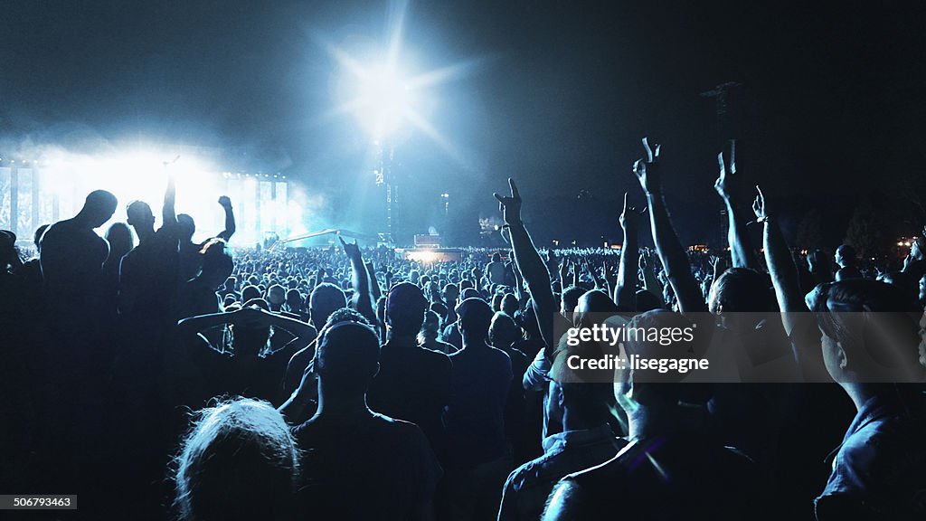 Multitud en un concierto de música)