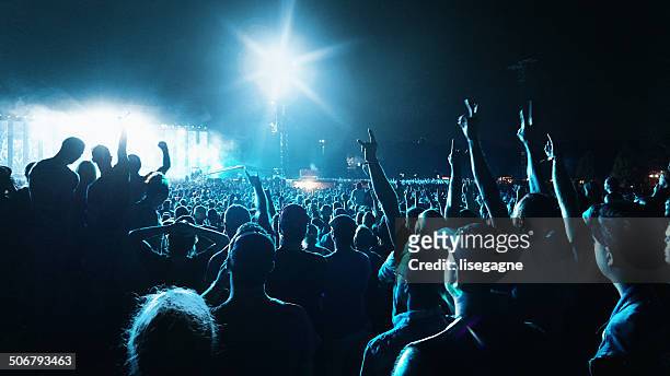 crowd at a music concert - rockmuziek stockfoto's en -beelden