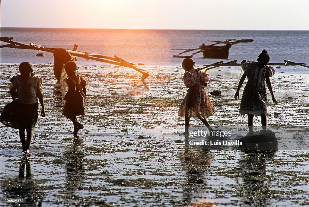 Fumba, Zanzibar