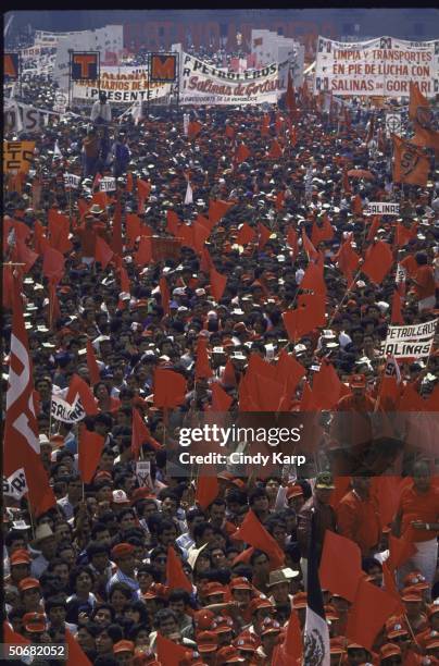 Crowd listening to PRI Presidential candidate Carlos Salinas de Gortari speaking at a PRI campaign rally.