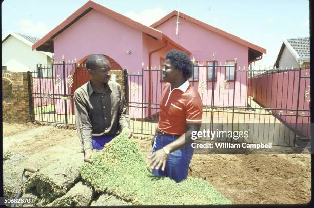 Carpet-like rolls of sod being laid in front of new hot pink painted home, with owner, Thami Khumalo and his gardener in foreground.