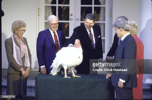 National Thanksgiving Turkey getting thorough once over and few pats from Pres. Ronald W. Reagan with others including Sen. John W. Warner Jr. .