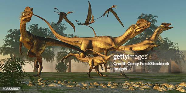 a pack of dilophosaurus dinosaurs hunting for prey. - dilophosaurus stock illustrations